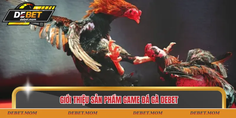Giới thiệu sản phẩm game đá gà DEBET